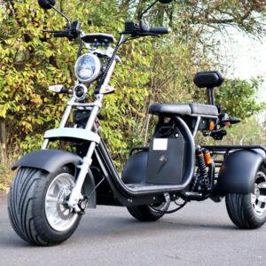 Coco Bike E-Scooter mit Straßenzulassung und drei Räder Trike ca. 35km Reichweite, 60V | 2000W | 20AH Akku-0