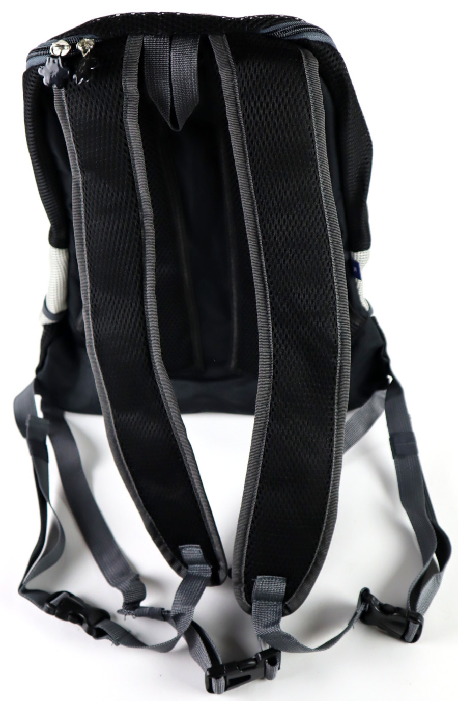 Rucksack für Hund und Katze-16648