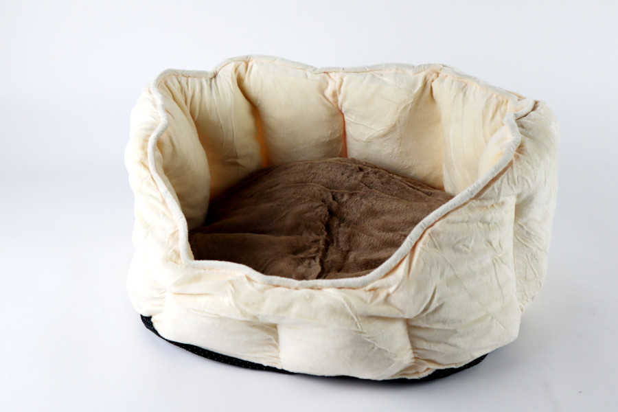 Kleinhaustiersofa (Katze und Hund)-16690