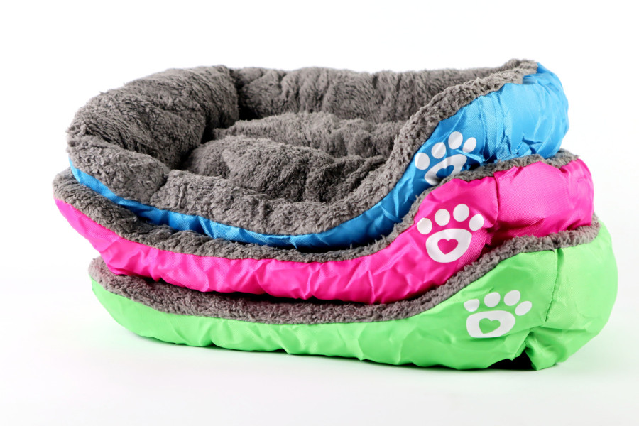 Haustierliege (Katze und Hund)-0