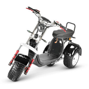 Coco Bike E-Scooter mit Straßenzulassung und drei Räder Trike CP7.1 Off-Road - ca. 45km Reichweite, 2 Motoren | 60V | 2000W | 20AH Akku-0